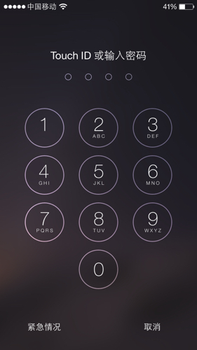 榆木市场形势依然难以改善‘xc体育’(图2) xc体育