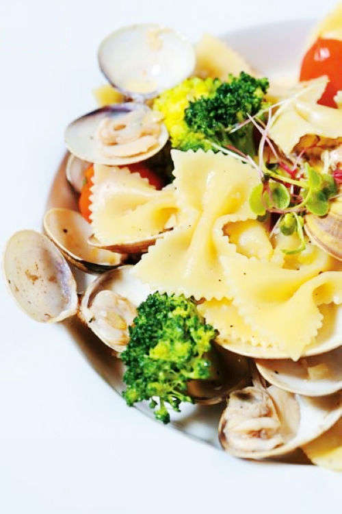 xc体育:今日猪价上涨吗?2019年全国生猪价格行情预测(图2) xc sports